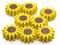 8 21mm Sunflower Beads Yellow Flower with Brown Center Flat Floral Wood Beads